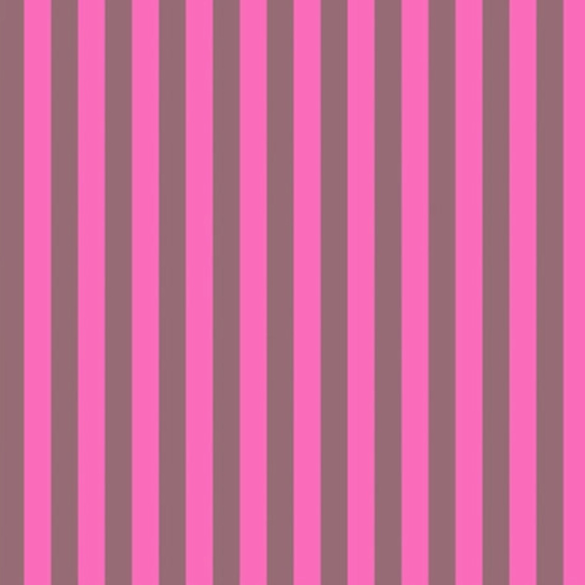 Tula Pink Everglow - Neon Tent Stripe in Cosmic